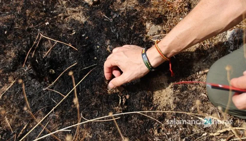 Investigación de incendios