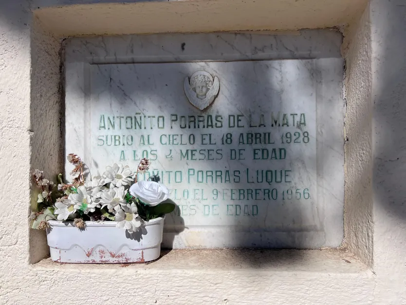 Ampliación de la zona infantil