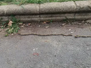 52467404 2126129664130480 1929080923161100288 n