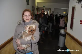 Santa Marta mercadillo de Navidad (27)