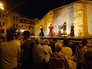 Viernes tarde Fiestas San Roque Carbajosa (10)