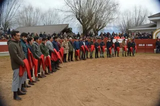 Definidas las ganaderías para el Bolsín Taurino Mirobrigense de 2018