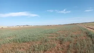 Campos secos. Foto EP