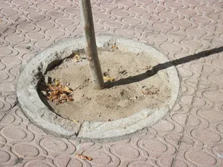 Alcorques en la plaza de los Bandos (16)