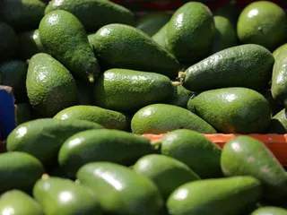 Aguacate