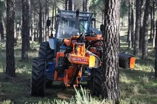 Plantación en bosques, herramientas. EP 