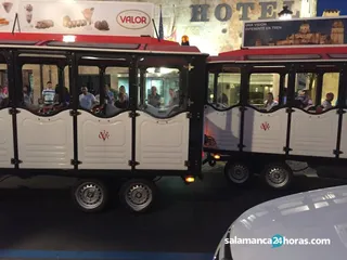 Tren turístico averiado (3)