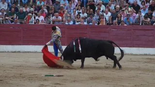 Corrida de los Corpus de Ledesma: lunes 19