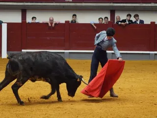 Bolsin ciudad rodrigo