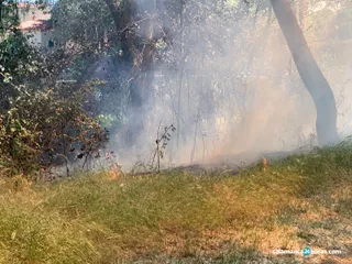 Incendio en las playas de Alba de Tormes (1)