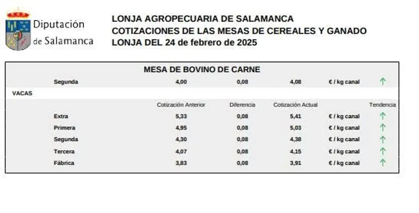 Mesa bovino de carne 1 lonja 24 febrero 2025