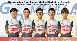 descarga