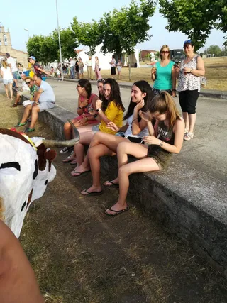 Carretones en Cerezal (9)