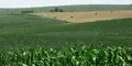 Agricultura 