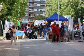 Octava edición de la feria de entidades de voluntariado 'Salamanca nos movemos'