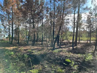 Restos del incendio Maíllo Serradilla del Arroyo. Foto S24H (12)