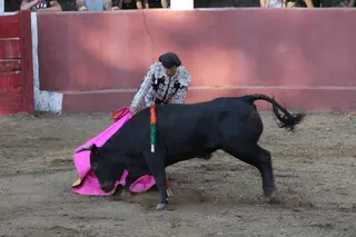 Festejos taurinos de Sequeros (170)