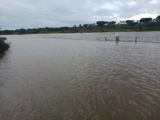 El río Oblea a su paso por la finca 'Rollanejo', entre los municipios de Buenamadre y El Cubo de Don Sancho. Foto S24H