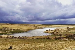 Sardón