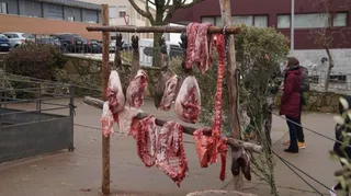 Matanza tradicional Guijuelo 2017. Primera jornada