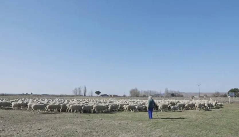 Fotograma del documental “El arte de los pastores”, de David Gómez
