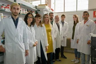 Investigadores de la USAL prueban con éxito in vitro una alternativa no tóxica a la quimioterapia