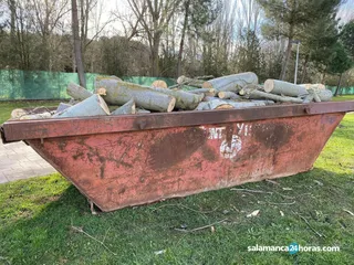 Árboles caídos en la Ciudad Deportiva de La Aldehuela (2)