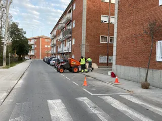Operarios municipales plantando los nuevos árboles de la Avenida Carlos I