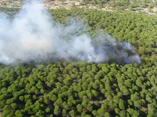 Incendio en el monte. FOTO EP