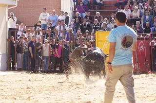 Villoria da rienda suelta a la tradición con el Toro del Voto | ARCHIVO