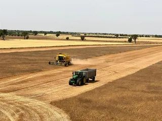Cosecha de cereales | Europa Press
