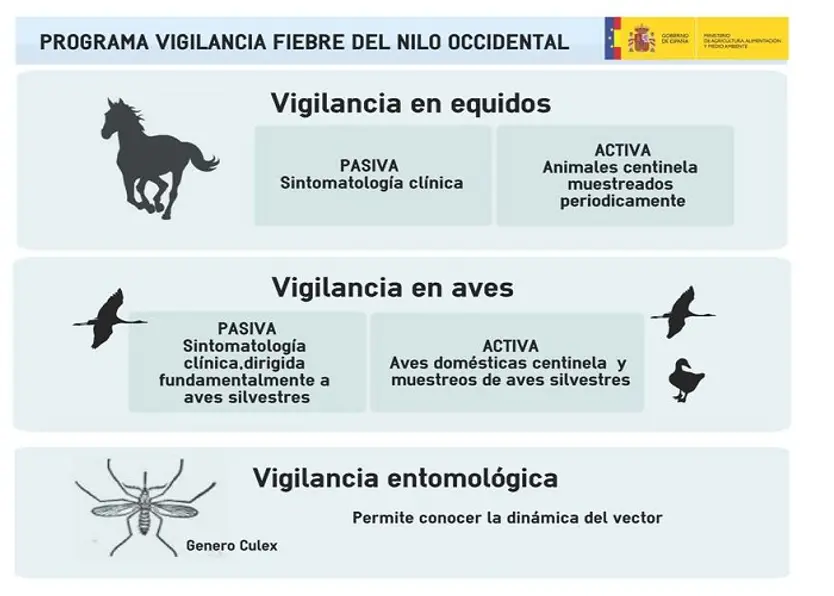 Programa de vigilancia Fiebre del Nilo Occidental | MAPA