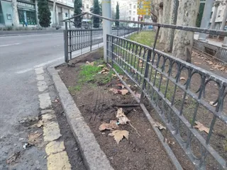 Un conductor pierde el control de su vehículo e impacta contra varios coches estacionados y una valla en la zona de los jardines del paseo de Carmelitas. Fotos Andrea M.