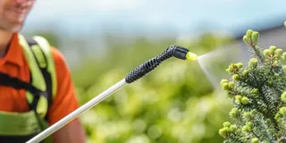 Control de de palgas | Abiomed