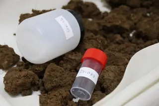 IRNASA, Equipo del servicio de análisis de fertilidad de suelos agrícolas