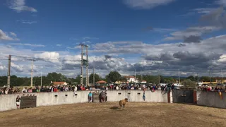 Capea en la zona de la plaza de toros vieja en Sancti-Spíritus