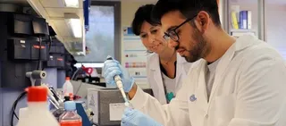 Investigadores del cáncer de hígado infantil