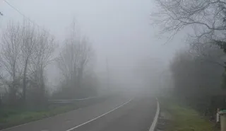 La niebla causa una colisión en cadena en Sorihuela