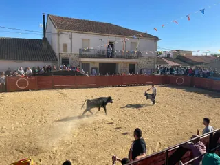 Suelta de vaquillas en Cabrillas (5)