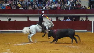Festival taurino en Alba de Tormes (I)