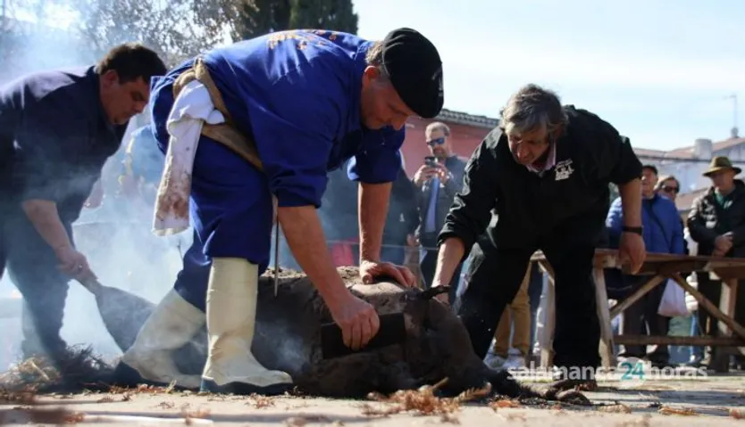 Matanza de los Arrieros en Guijuelo FOTOS | Andrea M