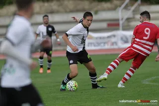 CASTILLO FRESNO 2