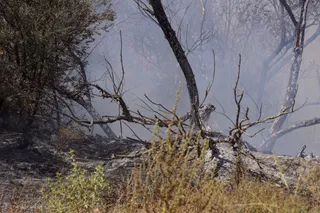 Incendio forestal en Aldeaseca de Alba. Foto de archivo