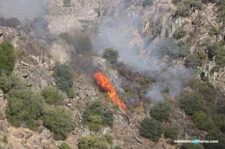 Incendio Hinojosa (23)