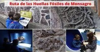 Monsagro contará con un Centro de Interpretación de los Fósiles para poner en valor los restos geológicos y paleontológicos en esta zona