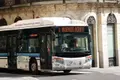 Autobuses urbanos