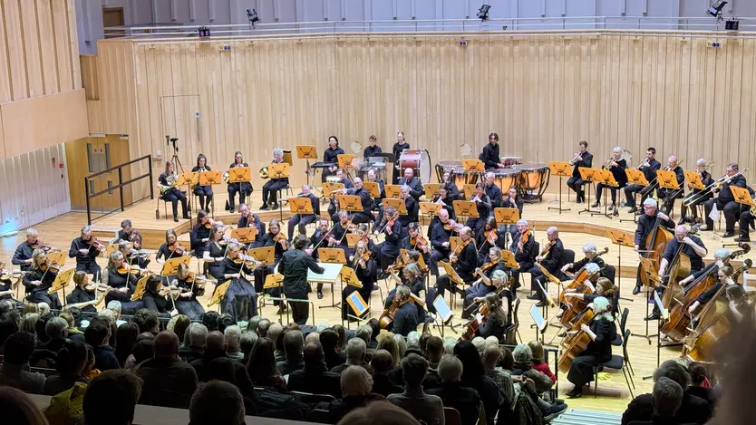 Amicus Orchestra Grch 140226 (1)