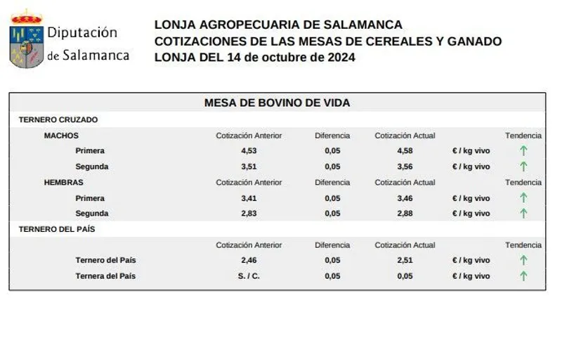 Mesa de bovino de vida 14 octubre 2024