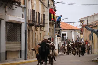 Encierro Tamames (5)