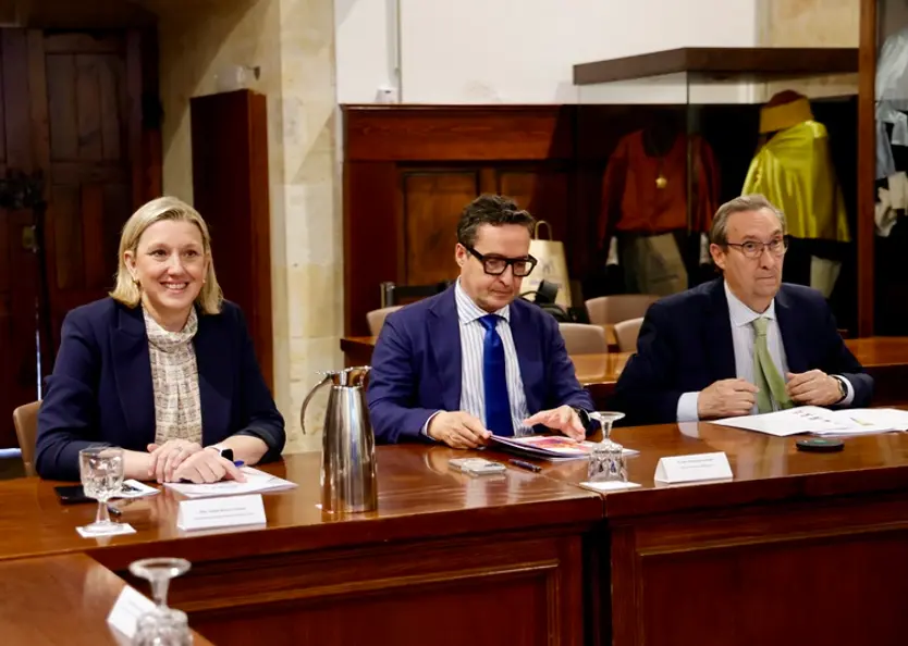 Salamanca acoge la primera reunión del Consejo Asesor de la ‘Cátedra Fundación Personas: discapacidad y futuro’ - ICAL